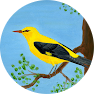 Vichelocrego